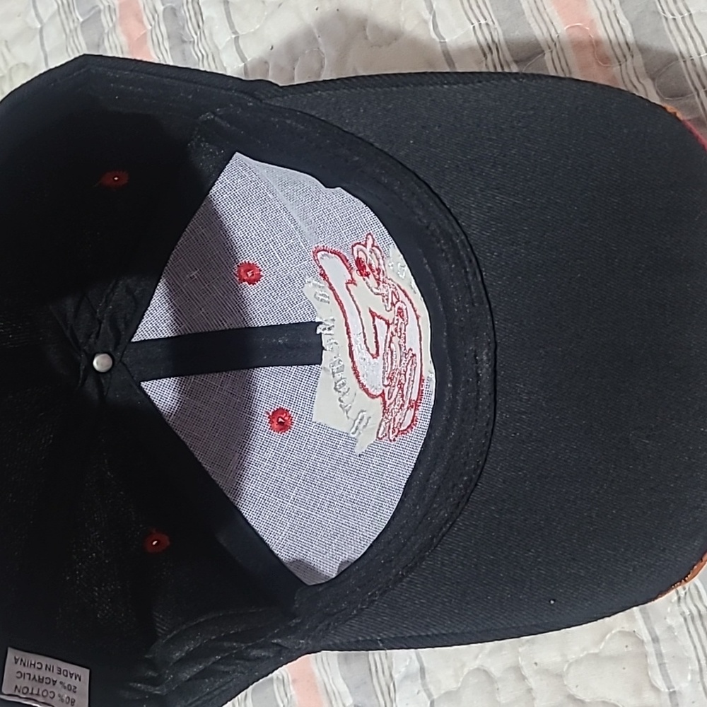 Dale Earnhardt Ball Cap - Picture 7 of 8
